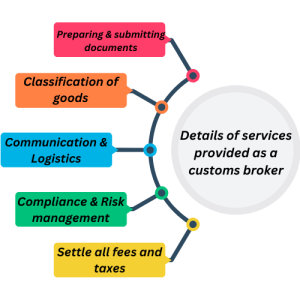 Details of the services provided by Al-Kindi as a customs broker