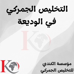 التخليص الجمركي في الوديعة